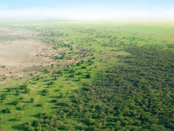A Lasting Green Wall: Policy, Collaboration, and&nbsp;Conflict