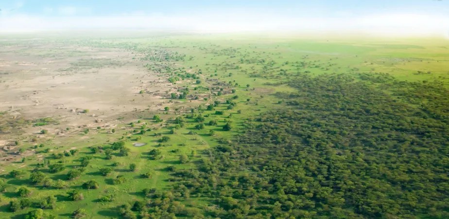 Conservation Policy – A Lasting Green Wall: Policy, Collaboration, and&nbsp;Conflict