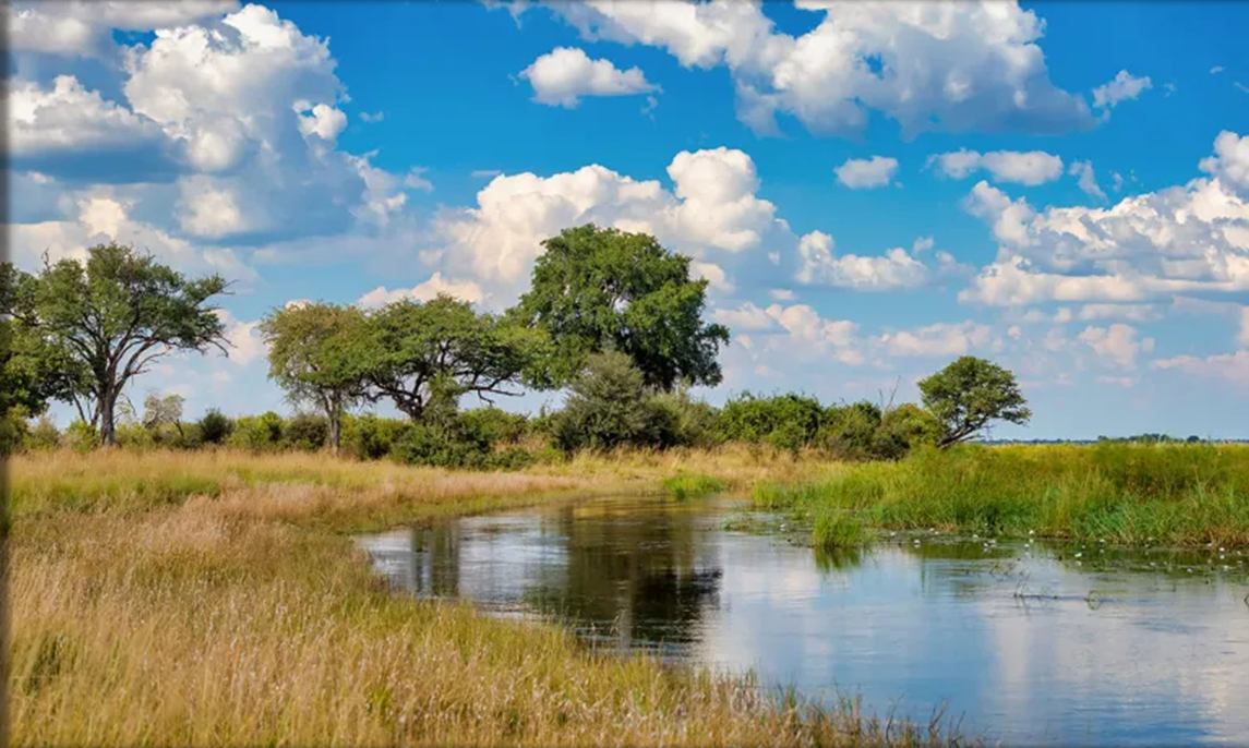 Resource Use Impact –  Trophy Hunting in Bwabwata National Park, Namibia: Community Based Study&nbsp;Design