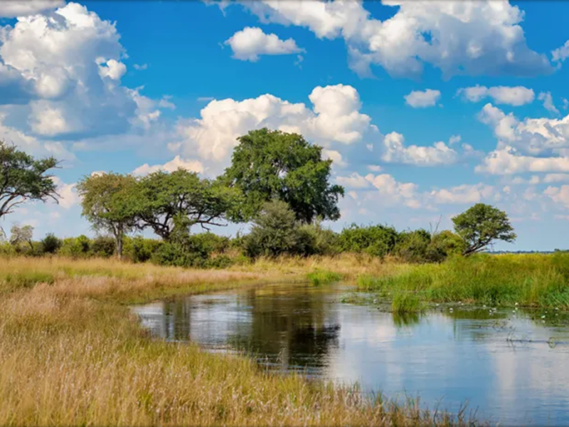 Trophy Hunting in Bwabwata National Park, Namibia: Community-Based Study&nbsp;Design