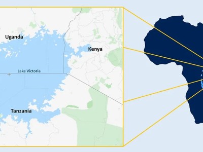 Fish-for-Sex in Lake Victoria: Women as Victims or&nbsp;Agents