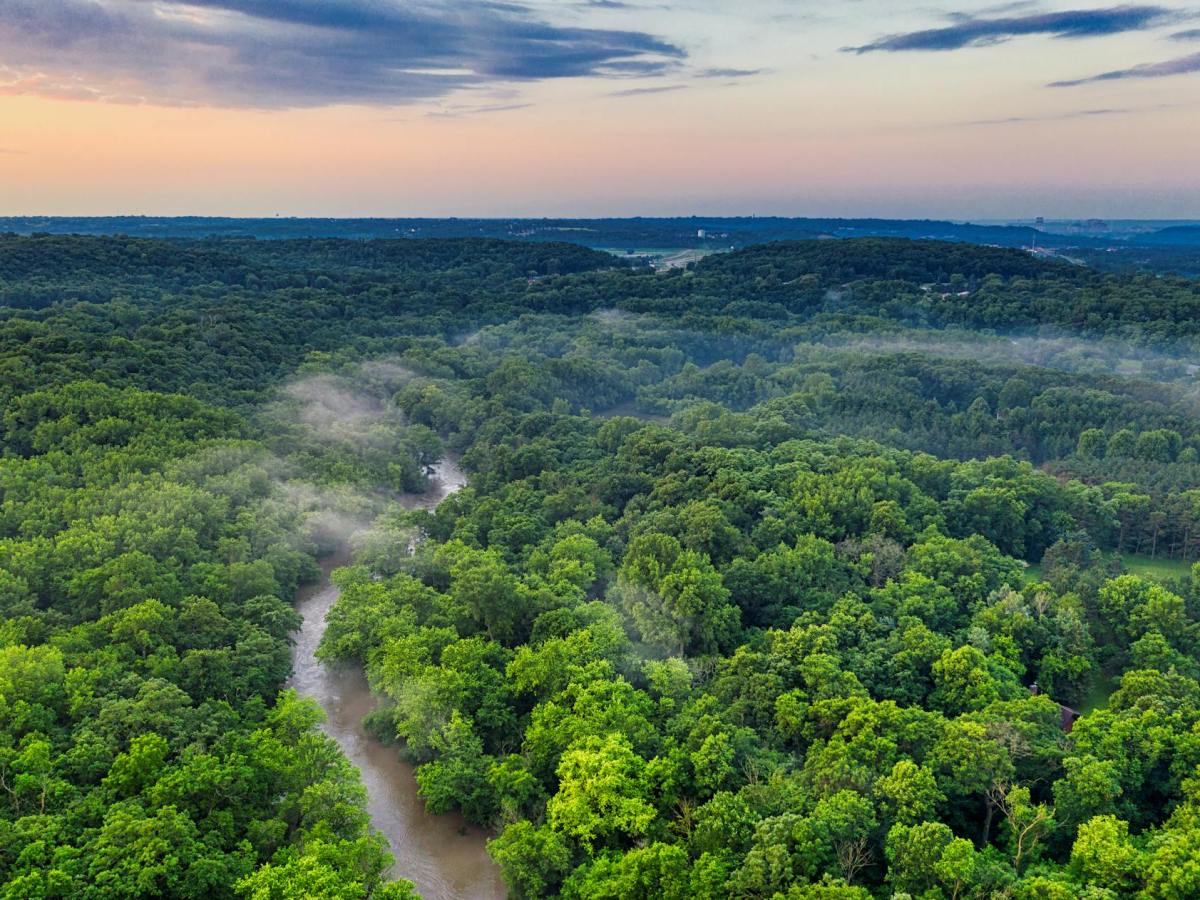 Impact of Land Use Change on the&nbsp;Kayapo