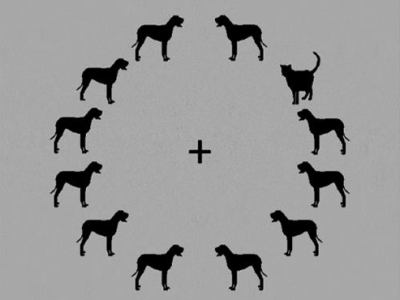 Lateralized Whorf Experiment
