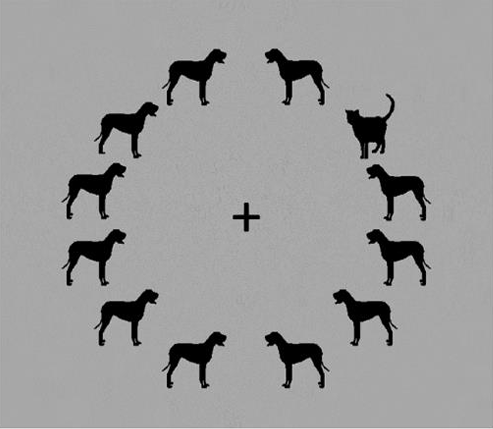 Lateralized Whorf Experiment